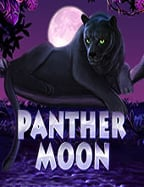 content sbobet sbobet เข า ไม ได แนะนำวิธีเล่นให้สนุก